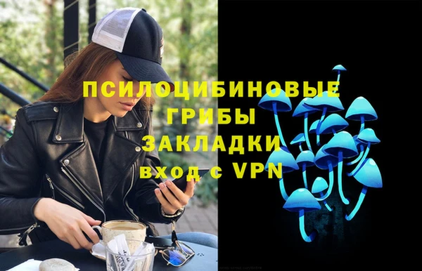 кокс Алексеевка