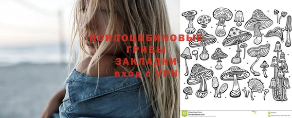 кокс Алексеевка