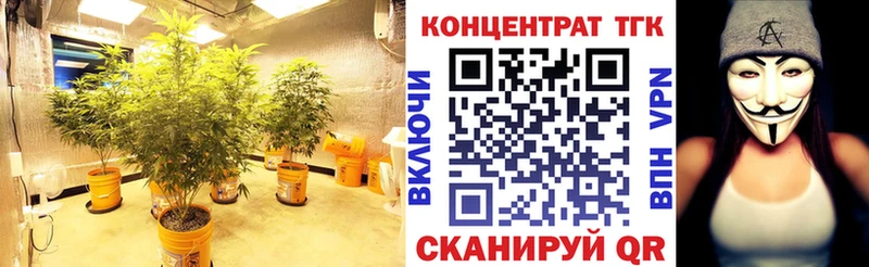 даркнет сайт  Ядрин  кракен tor  ТГК жижа 
