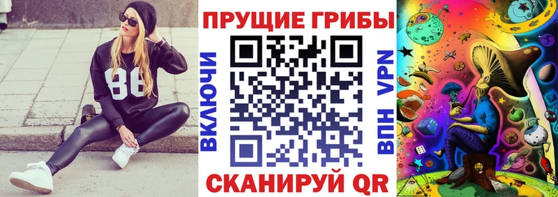 сколько стоит  Ядрин  Галлюциногенные грибы Cubensis 
